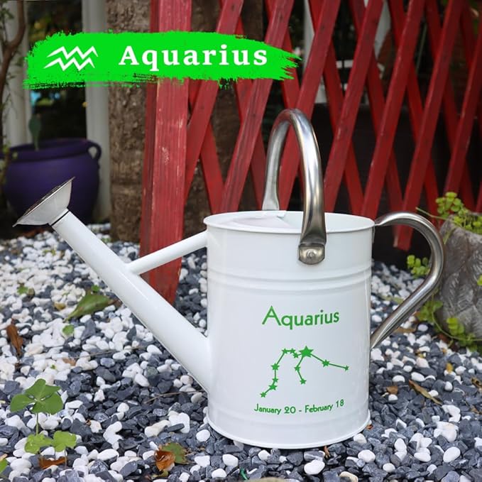 Metal Watering Can for Outdoor and Indoor Plants, Watering Can Decor, 1 Gallon (Aquarius)