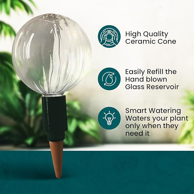 Blumat Glass Plant Watering Globes - Consistent Hydration Devices for Plants - Self-Watering System for Indoor and Outdoor Use - Automatic Plant Care Solution for Vacations