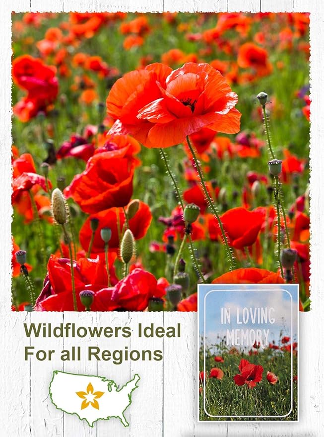 American Meadows Wildflower Seed Packets in Loving Memory Memorial Favors (Pack of 20) - Red Poppy Seed Mix, Favors for Funerals, Wakes, Viewings, Visitations, Memorial Services