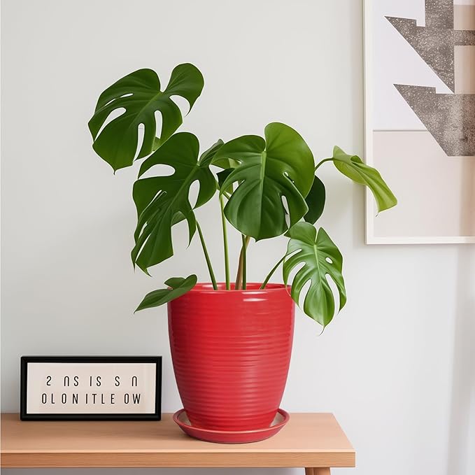 Ceramic Pot for Plants - 8 Inch Plant Pot for Indoor Plants Outdoor Round Planter Modern Flower Pot with Drainage Hole and Saucer Home Garden Office Porch Decor Red