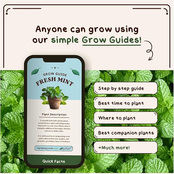 Organic 5 Herb Variety Pack: Basil, Mint, Rosemary, Parsley, Cilantro Seeds for Indoor Gardening or Planting Outdoors, Non-GMO and USDA Certified Herb Seed Packets (5 Herb Variety Pack)