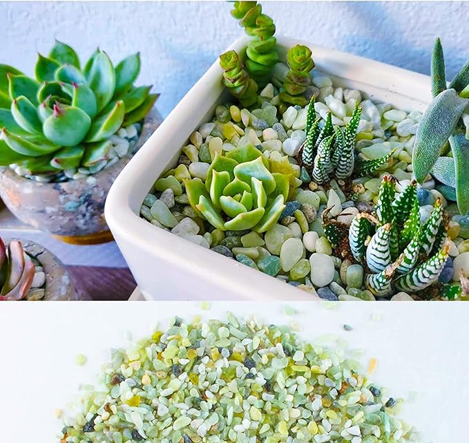 7lb Jade Bean Sand Stone-Succulents and Cactus Bonsai DIY Projects Rocks,Decorative Gravel for Plants and Vases Fillers,Terrarium,Fairy Gardening,Natural Stone Top Dressing for Potted Plants (5mm-8mm)