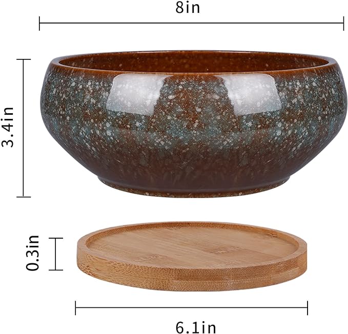 8 Inch Ceramic Bonsai Planter Pot, Glazed Shallow Succulent Planter with Drainage Hole and Bamboo Saucer for Indoor Plants, Brown