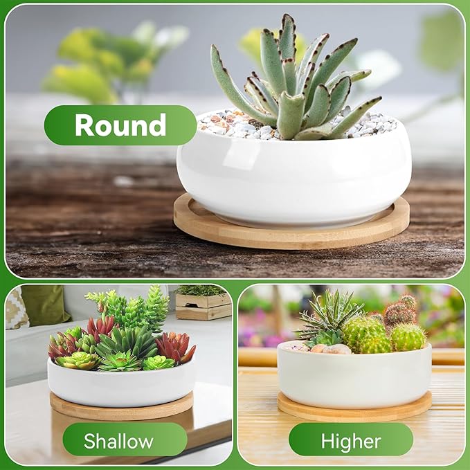 ZOUTOG 2 Pack Succulent Pots, 6 inch Ceramic Planters for Indoor Plants with Bamboo Tray, Pots with Drainage, Seeds＆ Plants Not Included