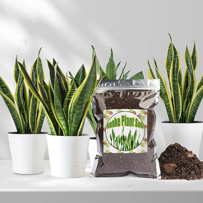 Premium Snake Plant Soil Mix 4qt, Indoor Plants Potting Mix for All Potted Snake Plants, Promote Healthy Growth and Easy Care