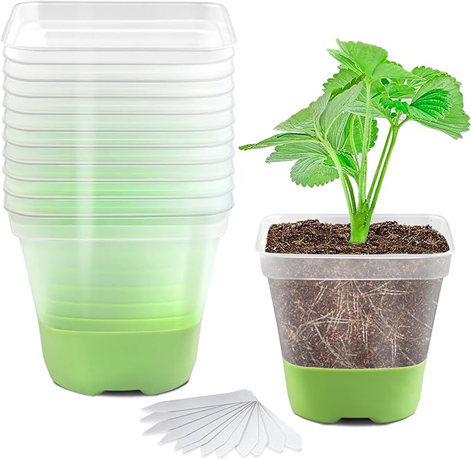 12 Packs 3 Inch Square Plastic Nursery Pots, Clear Plant Pot with Soft Silicone Base for Easy Transplant, Flower Pots with Drainage Holes, Reusable Seedling Pots Starter Pots
