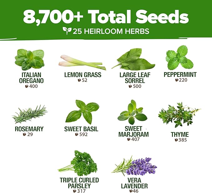HOME GROWN 25 Herb Seeds Pack | 8700+ Heirloom Seeds | Indoor & Outdoor Planting | Culinary Herb Seeds Variety Pack | Perfect for Hydroponic Gardens | Arugula, Basil, Lavender & More