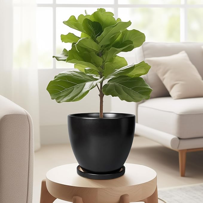 Ceramic Pots for Plants - 6 Inch Plant Pot with Drainage Hole and Saucer, Succulent Round Flower Planters for Indoor, Home Decor, Black