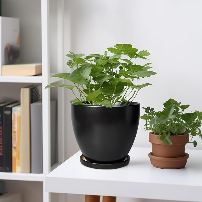 Ceramic Pots for Plants - 6 Inch Plant Pot with Drainage Hole and Saucer, Succulent Round Flower Planters for Indoor, Home Decor, Black