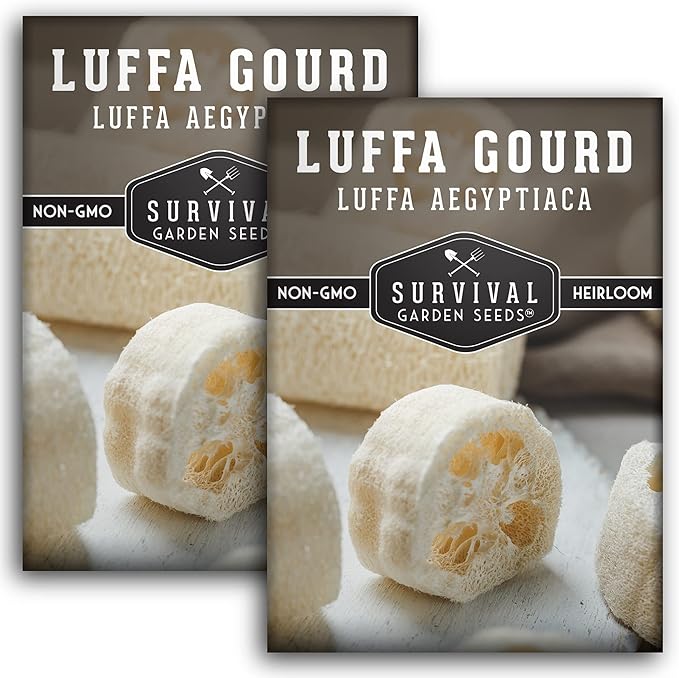 Survival Garden Seeds - Luffa or Loofah Seed for Planting - Packet with Instructions to Plant and Grow Ornamental Gourds in Your Home Vegetable Garden - Non-GMO Heirloom Variety - 2 Pack