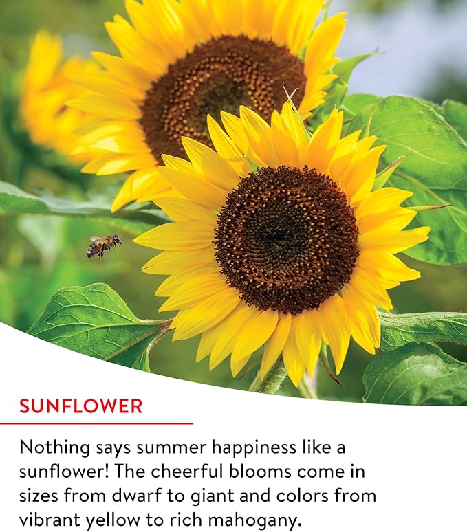 Burpee Fast Blooming 25,000 Non-GMO Planting, 1 Bag Easy Grow Wildflower Seed Mix Contains 14 Flower Varieties for Home Garden