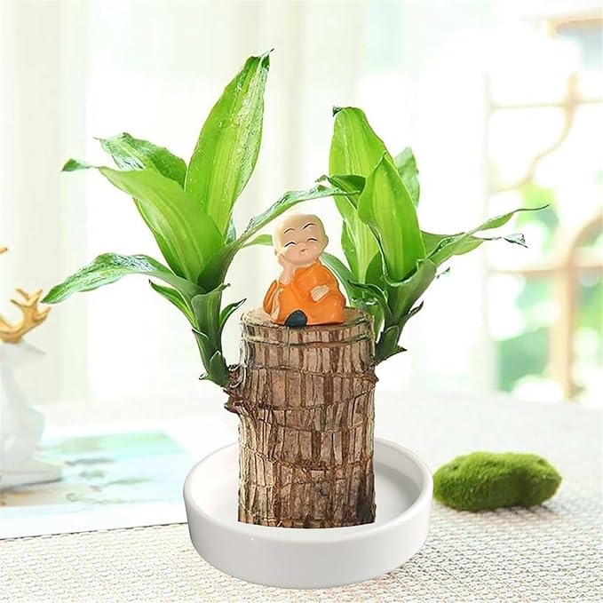 Ceramic Plant Saucer Pot Tray 2 Pack 4.7 6 7 8 9 10 12 13 15 inch White, Planter Water Drip Trays for Plant Saucers Indoors, Thick Durable Sturdy Flower Pot Saucers for Glazing Pots Base