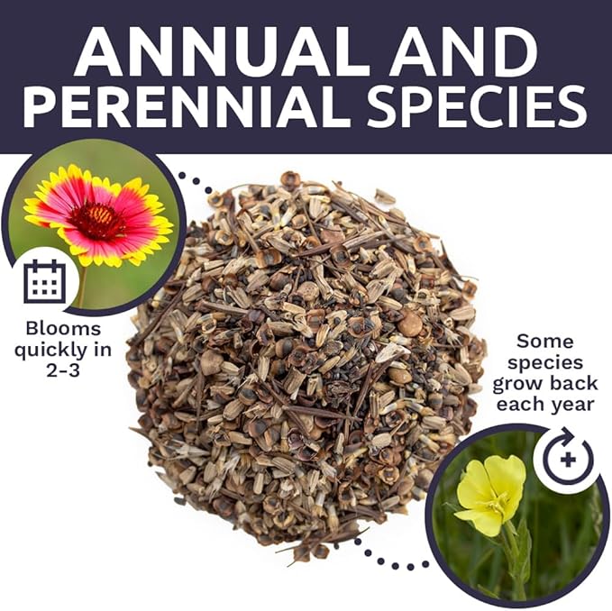 Texas Oklahoma Wildflower Seeds Mixture - Bulk 1 Ounce Packet - Over 15,000 Native Seeds - Open Pollinated and Non GMO