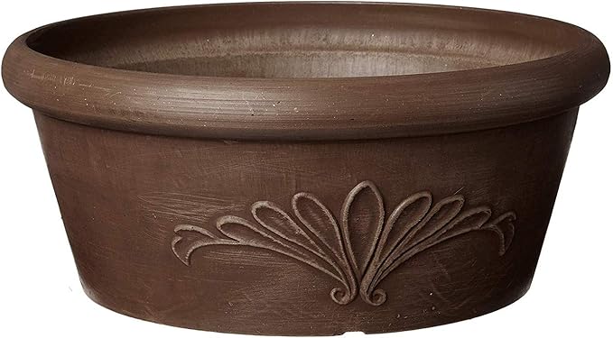 Arcadia Garden Products PSW Pot TA25C Collection Shallow Bulb Pan Planter Dish Low Bowl for Succulents, Bonsai, Fairy Gardens, Herbs, 10-inch, Chocolate
