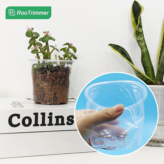 3.5" Clear Seeding Pots 100-Pack Round for Seeds Starter Pots, Seeds Germination Transparent Nursery Pots with Drainage Holes (100PCS)