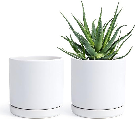 D'vine Dev Set of 2 Plants Pots, 6 Inch Ceramic Planter Pot for Plants with Drainage Hole and Saucer, White, 94-V-C-1