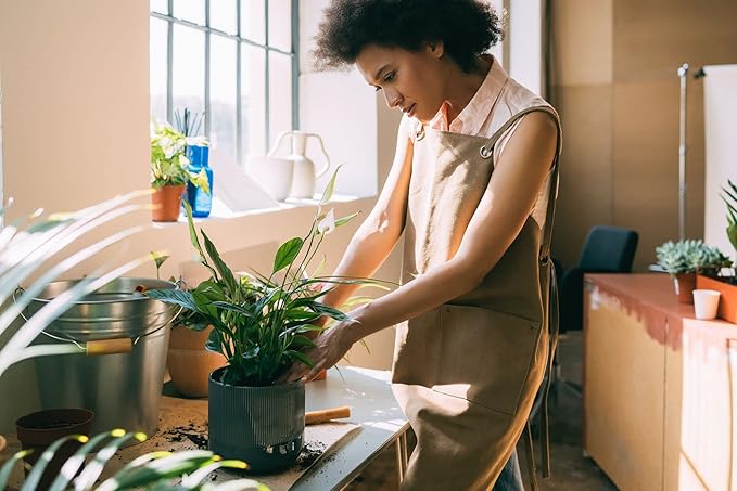 Gardenera's Peace Lily Soil Mix for Thriving Indoor Plants: Hand-Crafted for Optimal Growth [4-Quart Bag]