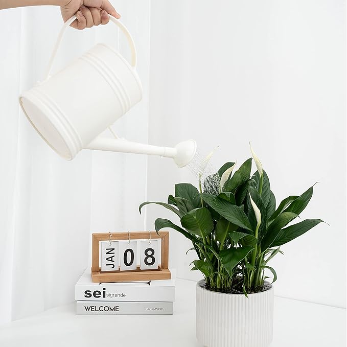 Watering Can for Indoor Plants, Flower Watering Can, Plastic Water Can for Plants, Indoor Watering Can with Sprinkler Head 68 oz, 1/2 Gallons