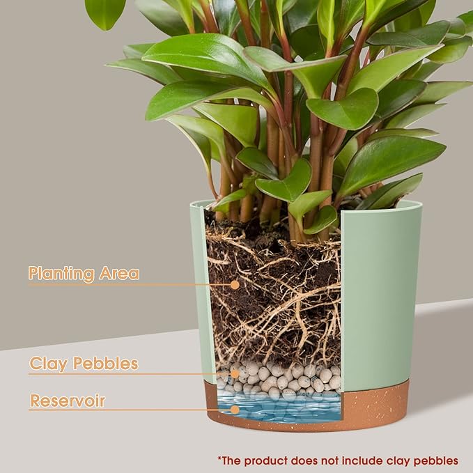 kubvici Plant Pots for Indoor Plants, 2 Pack 12 Inch Pots for Plants, Lightweight Large Planters for Indoor Plants Outdoor Plants, Big Plastic Plant Pot Flowers Pot with Drainage (12” Green & White)