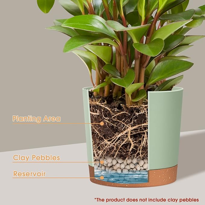 kubvici Plant Pots for Indoor Plants, 2 Pack 10 Inch Plant Pot Plastic Flower Pots Planters with Drainage Saucer for Indoor Outdoor Garden Home (10" Green & White)