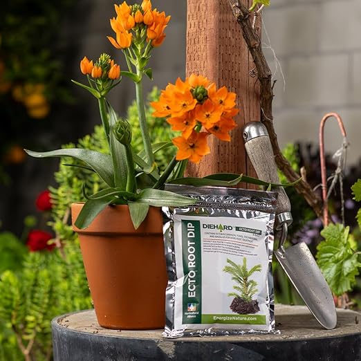 Ecto Root Dip 16 oz. Root Stimulant Plant Rooting Powder Root Stimulator for Plants Starter Root Booster Landscape Forestry Christmas Trees Ecto Mycorrhizae Inoculant Root Enhancer for Plants