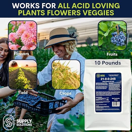 21-0-0-24S Ammonium Sulfate for Deep Green Plants - Soil Acidifier for Blueberry Blooms, Azalea and Magnolia Tree Fertilizer - Sulfur for Plants Nitrogen Fertilizer (10 Pounds)