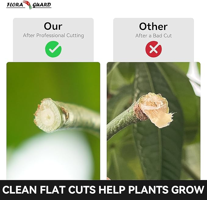 Flora Guard Garden Shears 8.5" Bypass Pruning Shears, Professional Ultra Sharp Sk5 Steel Garden Clippers, Heavy Duty Plant Cutting Scissors Garden Tools Supplies, Hedge Branch Trimmer, Super Durable