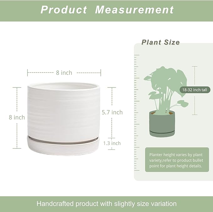 8 Inch Pots for Plants, Ceramic Planter Pot with Drainage Hole & Saucer, Indoor/Outdoor Cylinder Round Planter Pot, Matte White