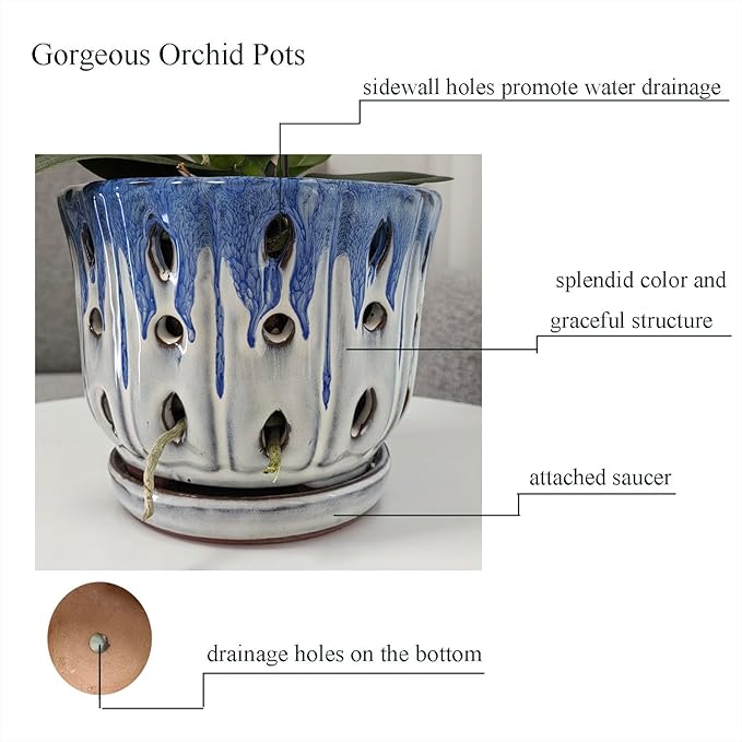 Ceramic Orchid Pot with Drainage Hole 6'' Orchid Planter (Blue Cover White)