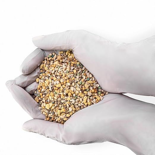 All Season Palm, Ixora, and Ornamental Plant Food (8-4-8 Fertilizer) by Gardenera - Enhance The Health and Resilience of Your Ornamental Plants - 2 QUARTS