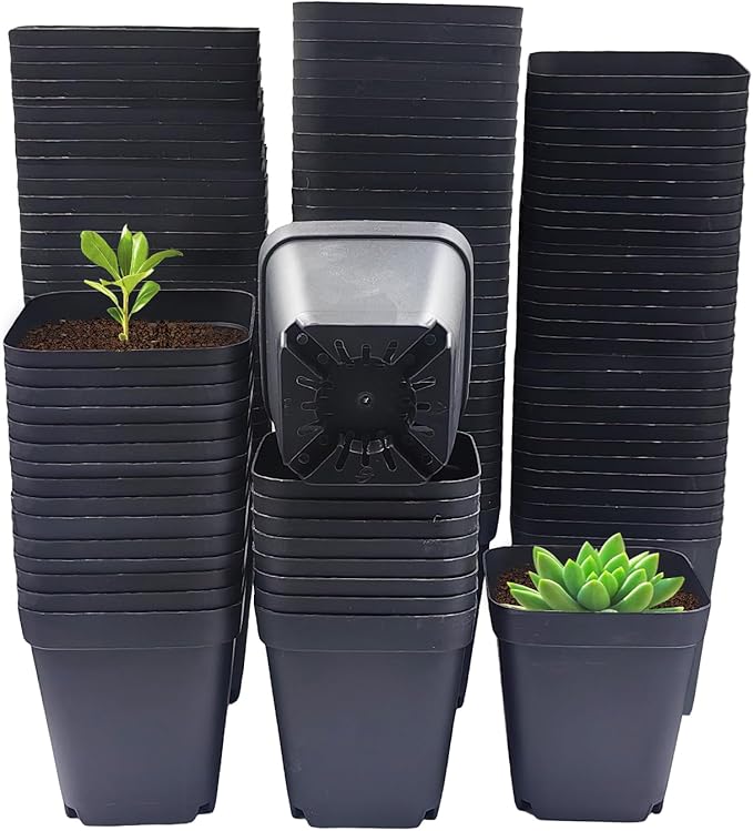 Square Nursery Pots 3" 120Pcs Deep Succulent Plastic Pots Small Flower Planter Seeds Starter Germination Pots with Drainage (Black,2.7Inches,120Pcs)