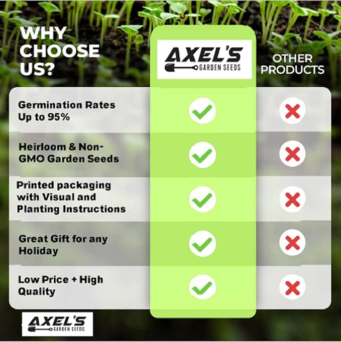 Cabbage Seeds for Planting – Non-GMO Heirloom Vegetable Seeds – Full Instruction Packets to Plant in Your Home Outdoor Garden – Gardening Gift – 200 Copenhagen Cabbage Seeds Per Pack (3 Packets)