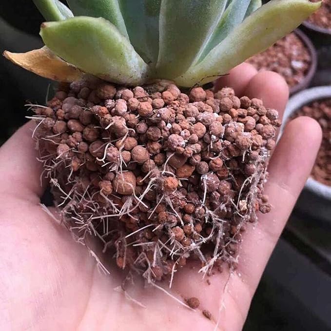 2.5lb Multi-Purpose Calcined Nutrient Soil for Lithops Succulent Cactus Promote Root Growth - Concave-Convex Shape Soil for Healthier, Stronger, and Larger Roots