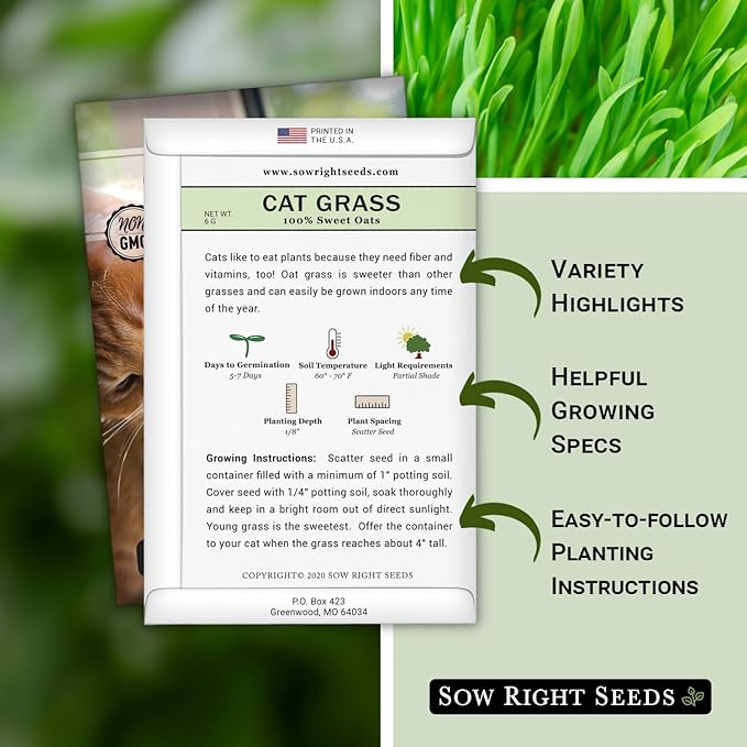 Sow Right Seeds - Bulk Cat Grass Seeds for Planting - 8 oz - Non-GMO Heirloom 100% Sweet Oats Grass for Cats and Dogs - Easy to Grow Healthy Greens - Safe & Natural Indoor Use - Ideal for Pet Lovers