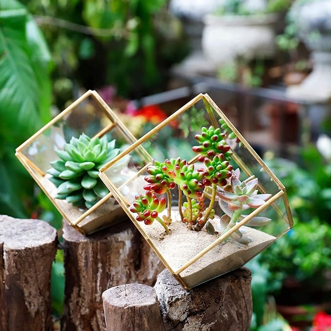Glass Geometric Plant Terrarium,Succulent & Air Planter for Home Garden Office Decoration(Gold Cubic Set of 2)