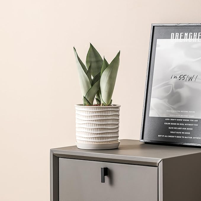 6 Inch Plant Pot: Ceramic Planter with Drainage Hole & Saucer - Cream White Flowerpot for Indoor & Outdoor Plants - with Separate Tray for Home & Office - Wave Embossed Design