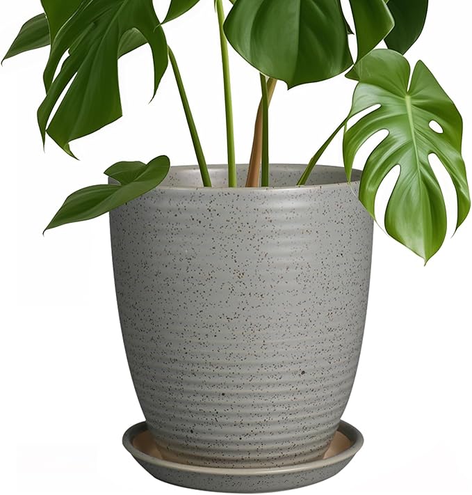 8 Inch Plant Pot Ceramic Planter Pot with Drainage Hole and Saucer Modern Round Flower Pot for Indoor Plants Light Gray