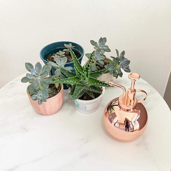 Plant Mister Spray Bottle Stainless Steel Plant Sprayer, Small Watering can Plant Spray Bottle Modern Gardening Tools for Indoor Potted Plants Watering and Spraying