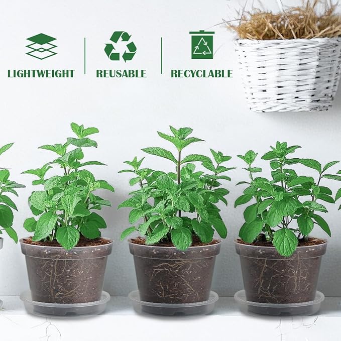 7 Pack 8 Inch Clear Nursery Pots with Saucer, Transparent Plastic Plant Pots with Drainage Holes, Sturdy Plant Starter Pots, Garden Planter Pot for Planting Succulents Flowers Herb Vegetables