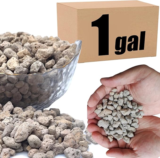 Organic Pumice for Bonsai and Horticultural 100% Natural (1 gallons, 3/8 inch)