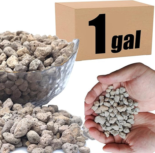 Organic Pumice for Bonsai and Horticultural 100% Natural (1 gallons, 3/8 inch)