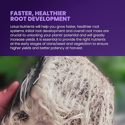 9oz Carboflush - Harvest Flavor Enhancer, Finisher, Cleanser – Naturally Derived Premium Powdered Nutrient – Harvest Enhancing Fertilizer for Soil, Hydroponic, and Coco Coir - Indoor and Outdoor