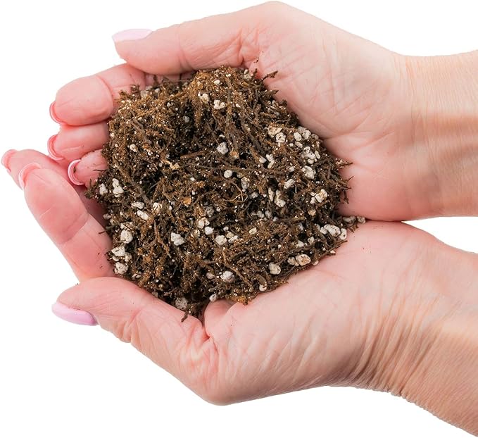 Fern + Perlite Soil Mix for Repotting and Planting Succulents and Cactuses - 4 Quart Bag
