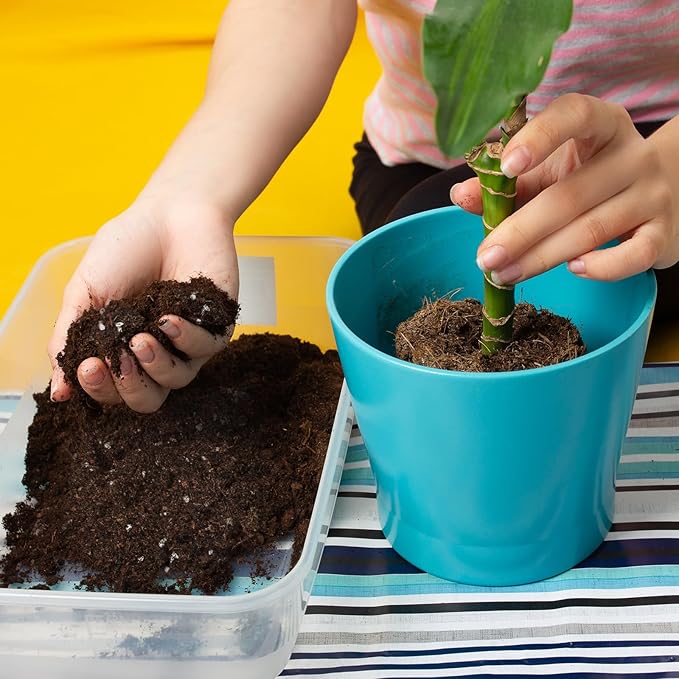 Premium Lucky bamboo Soil Mix 4qt, Indoor Plants Potting Mix for All Potted Luncky bamboo, Promote Healthy Growth and Longevity