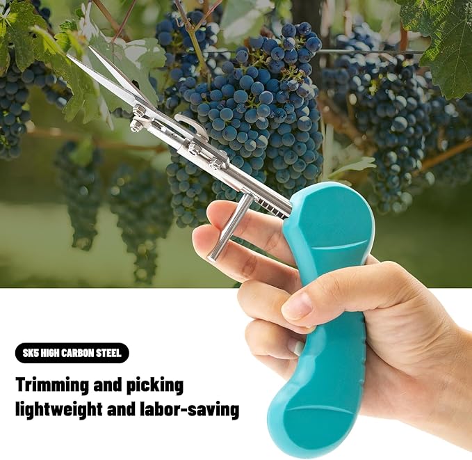 Pointed Stainless Steel Gardening Shears, Hand Pruners, Garden Clippers Handheld, Floristry Scissors, Picking Pepper Wolfberry Fruit (Blue)