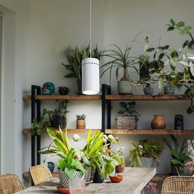 HMVPL Hanging Grow Light for Indoor Plant Full Specturm, Plug in Plant Light with 4000K 40W COB Grow Light Bulb, Small Grow Lamp with Pulley, 4/8/12H Timer for Indoor Seed Plant Flower Output(19ft)