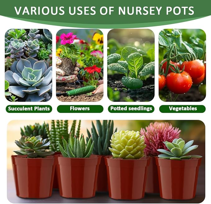 50 Pcs Plastic Plant Nursery Pots, 3.3 Inch Seedling Pots with Drainage Holes, Seed Starting Pots, Small Plant Pot for Planting Flowers Indoor Outdoor, Red