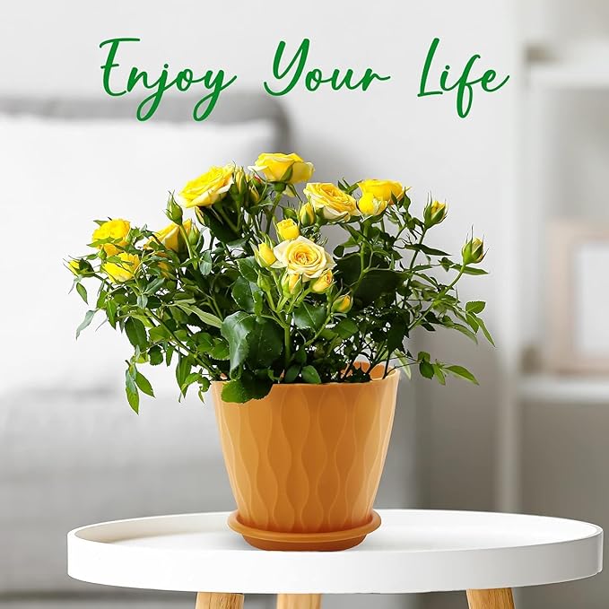 6 inch Plant Pots, 5 Pack Flower Pots Outdoor Indoor, Planters with Drainage Holes and Tray Saucers