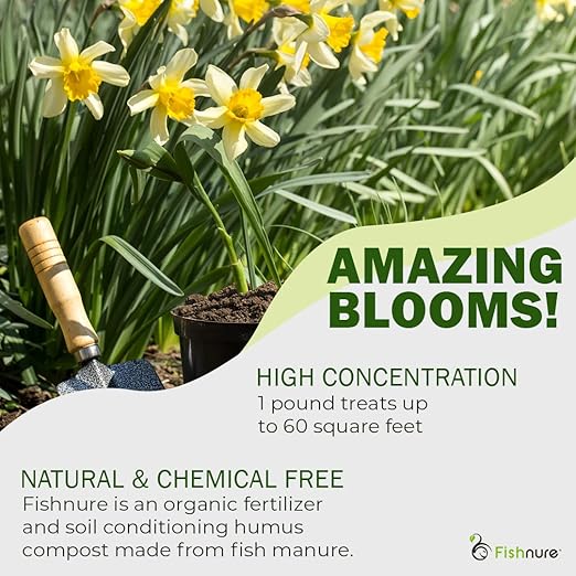 Fishnure - Humus Fish Compost Fertilizer for Indoor Plants, Outdoor Houseplant Fertilizer, Plant Food for Houseplants, Gardener Gifts, 1 lb Convenience Pack for 3-Gallon Pot