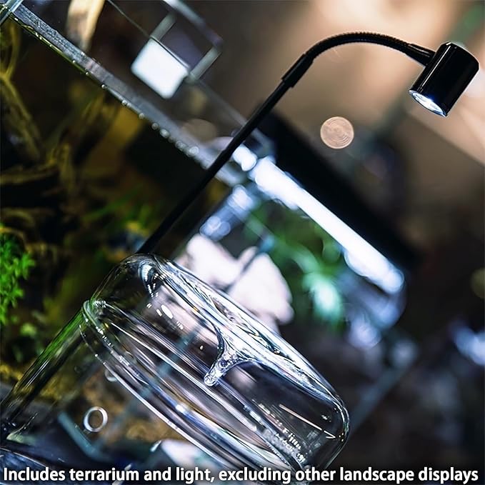 Glass Plant Terrarium 4.7"X7" Inches Succulent Air Planter Fern Moss Micro-Landscape Vase for Home Office Tabletop Decoration Container with Lid Indoor Wardian Copyright Patent（with Light）